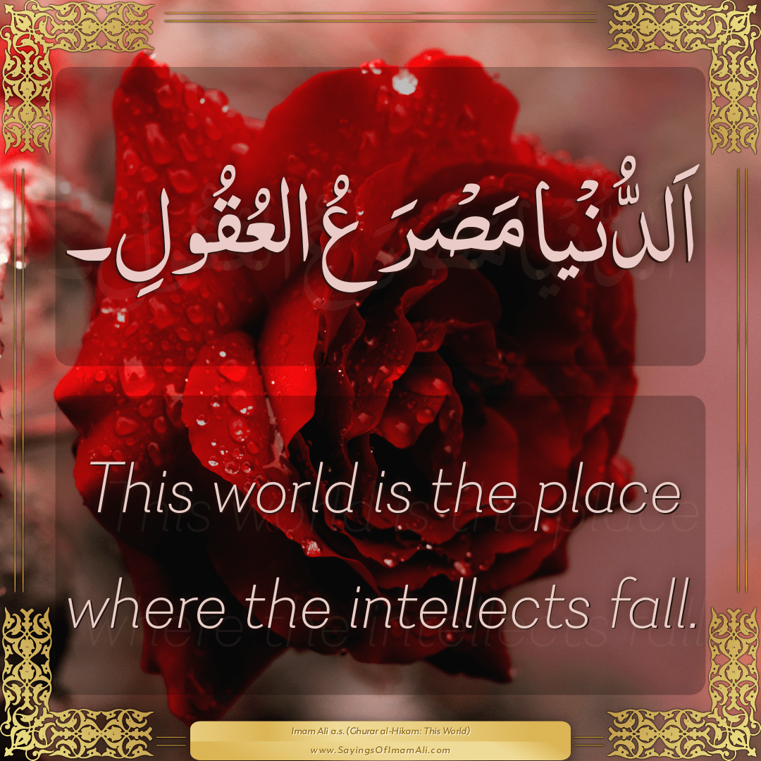 This world is the place where the intellects fall.